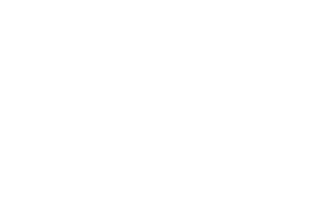 European Comission